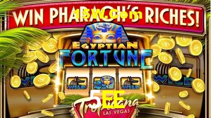 Apostas de Tênis 5EE